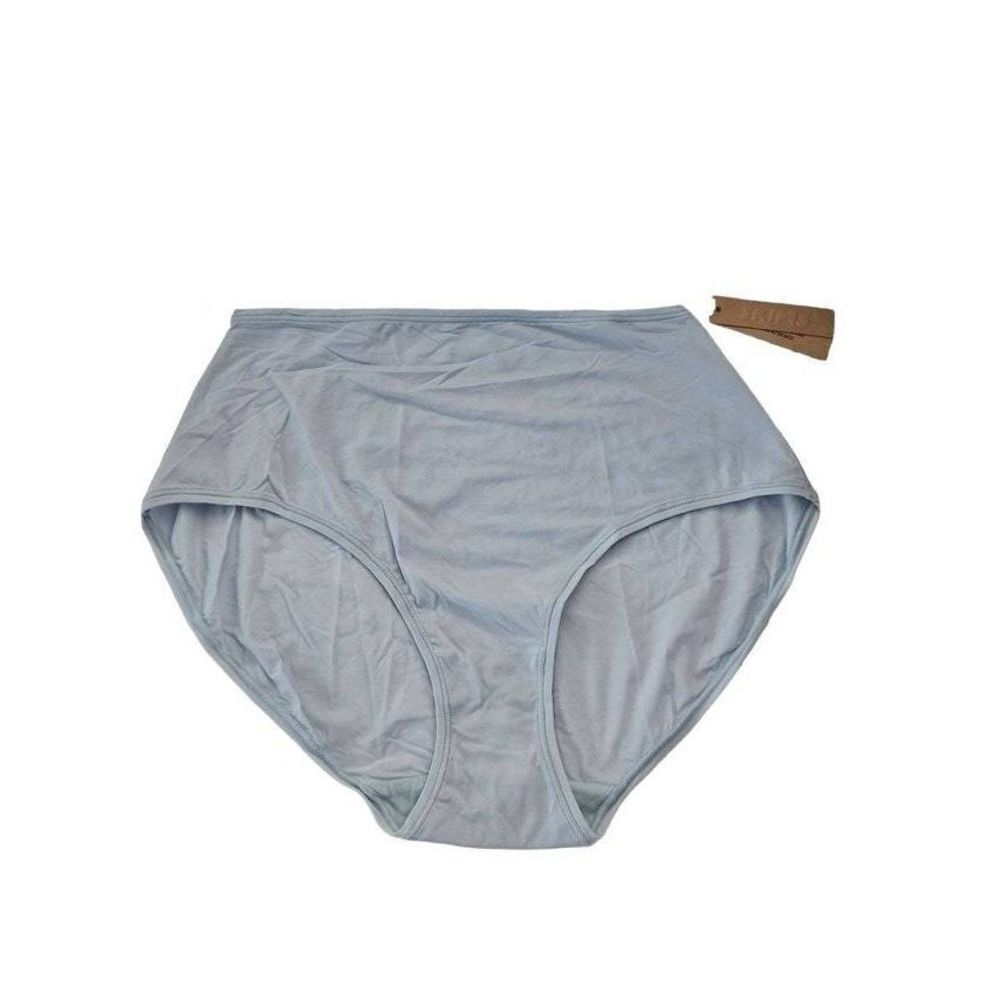Skims brief panty Nwt‎